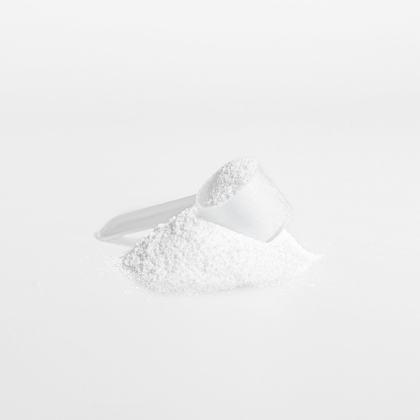 STAPLE — Creatine Monohydrate